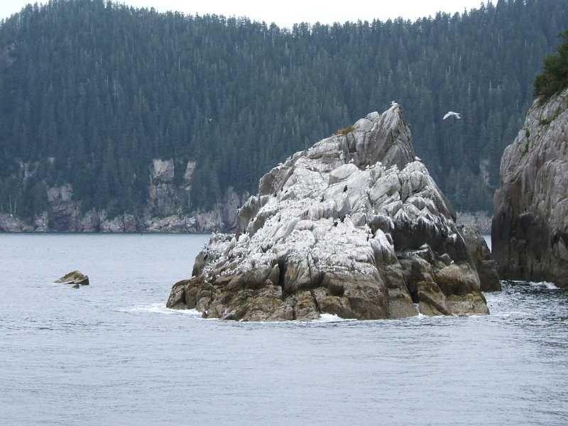 dscf0466.jpg