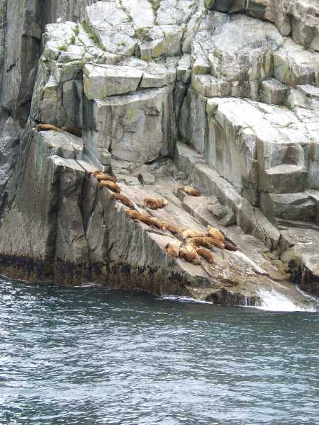dscf0472.jpg
