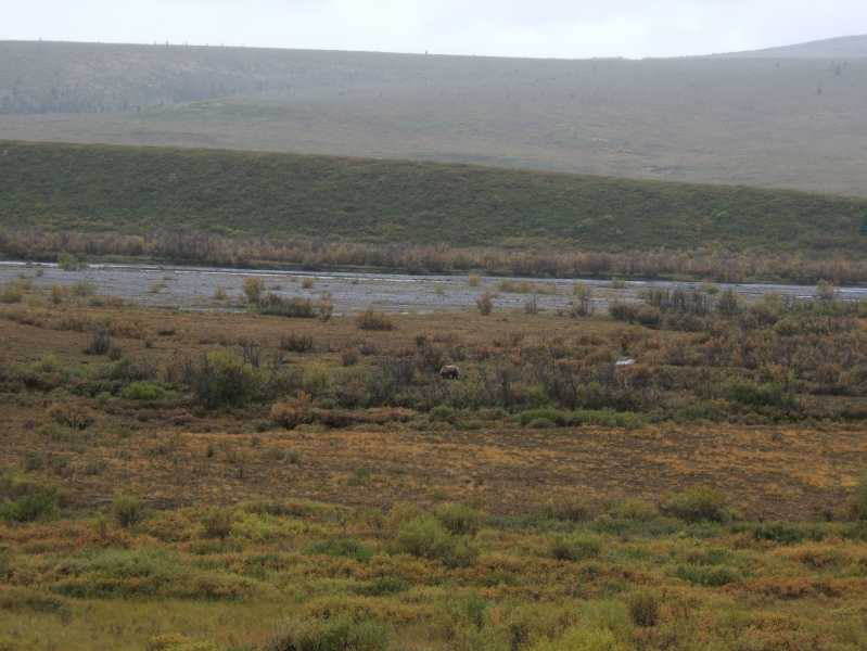 dscf0631.jpg