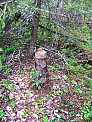 dscf0384.jpg