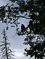dscf0408.jpg