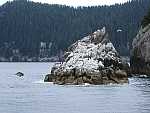 dscf0466.jpg