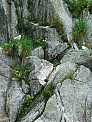 dscf0470.jpg