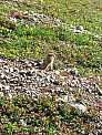 dscf0563.jpg