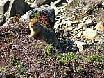 dscf0565.jpg