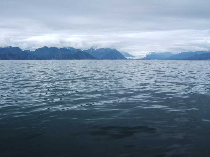 dscf0475.jpg