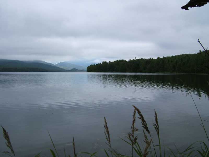 dscf0381.jpg