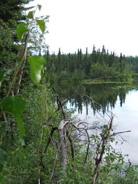 dscf0388.jpg