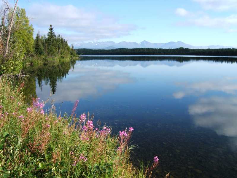 dscf0396.jpg