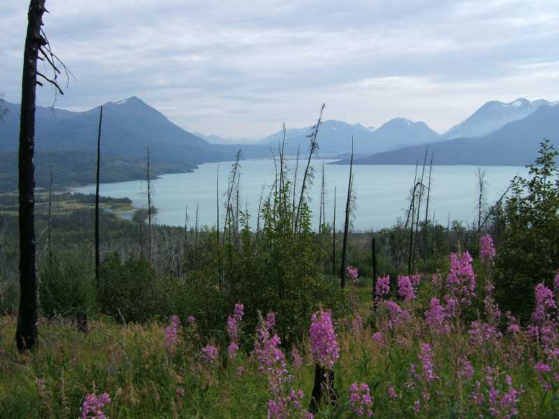 dscf0411.jpg