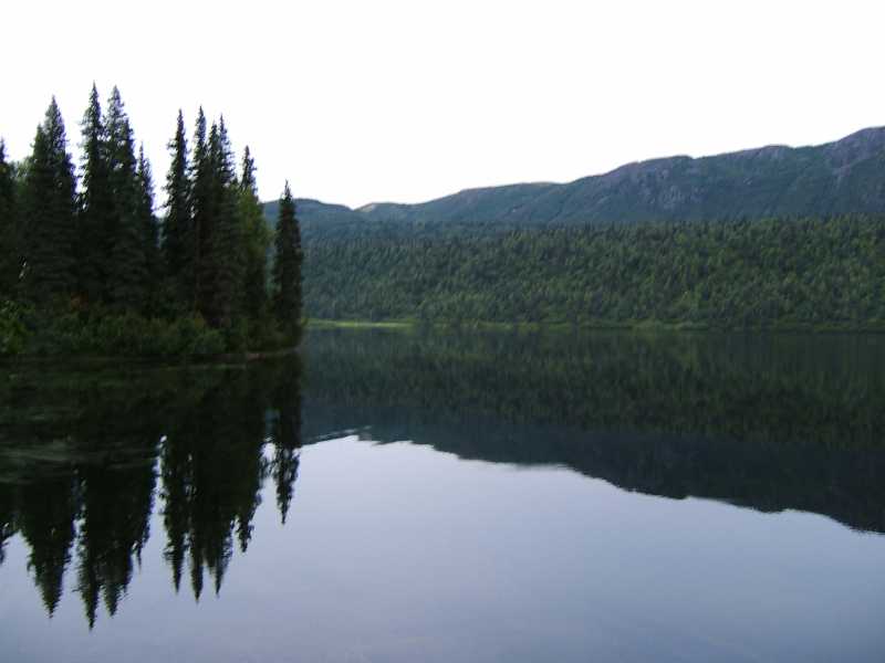 dscf0534.jpg