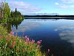 dscf0396.jpg