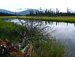 dscf0410.jpg
