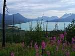 dscf0411.jpg