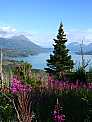 dscf0426.jpg