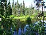 dscf0566.jpg