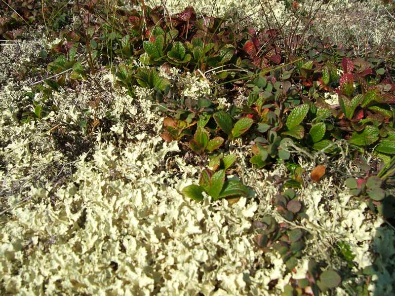 dscf0553.jpg