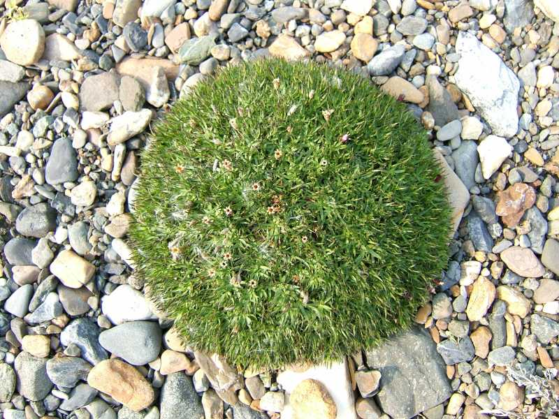 dscf0591.jpg