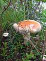 dscf0373.jpg