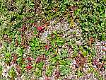 dscf0562.jpg