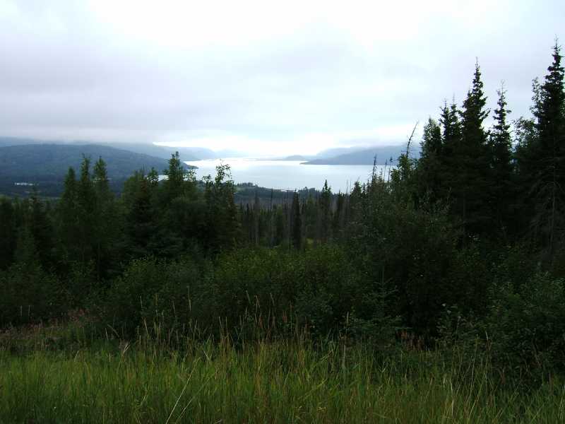dscf0367.jpg