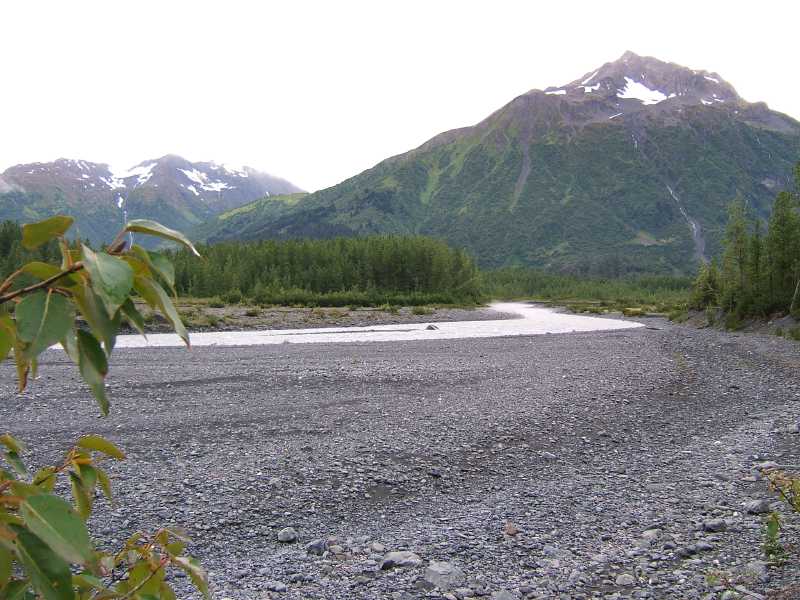 dscf0525.jpg