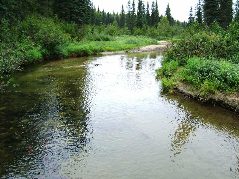 dscf0531.jpg
