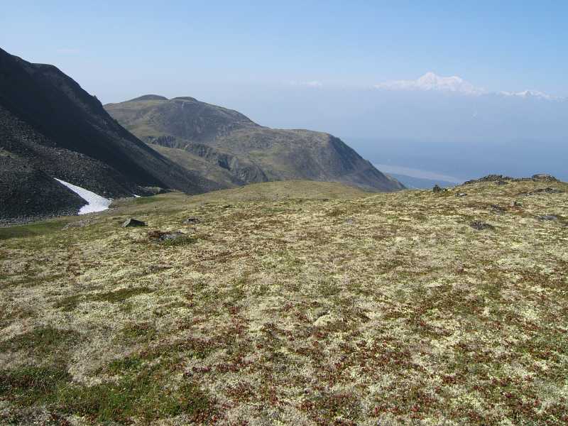 dscf0551.jpg