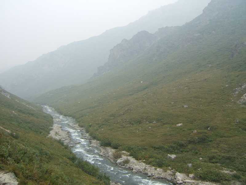 dscf0600.jpg