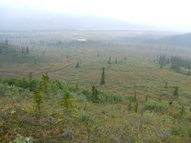 dscf0616.jpg