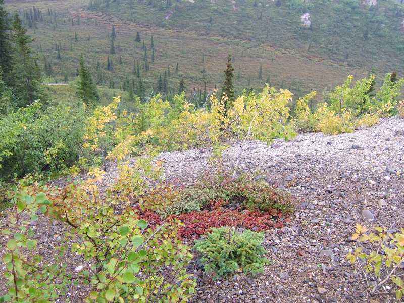 dscf0625.jpg