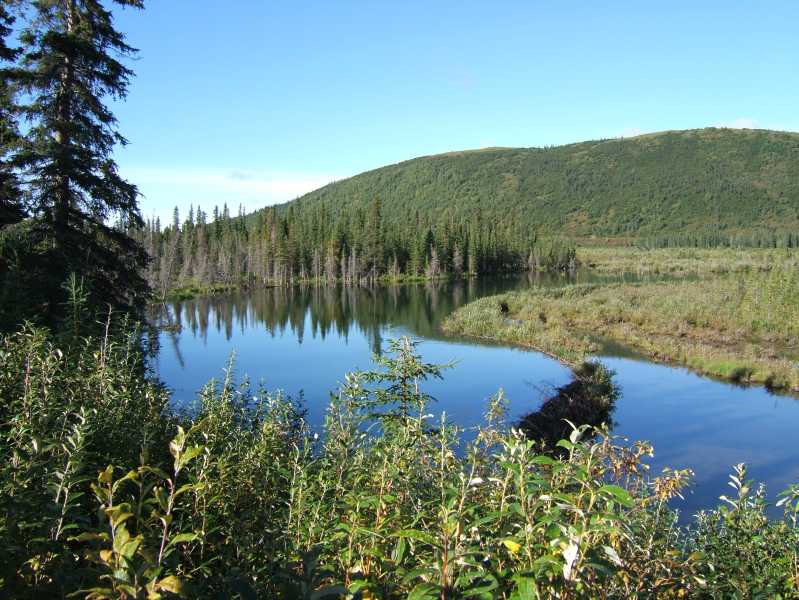 dscf0637.jpg
