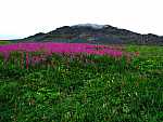 dscf0498.jpg