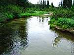 dscf0531.jpg