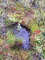 dscf0615.jpg