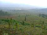 dscf0616.jpg