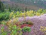 dscf0625.jpg