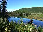 dscf0637.jpg