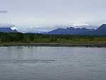 dscf0664.jpg